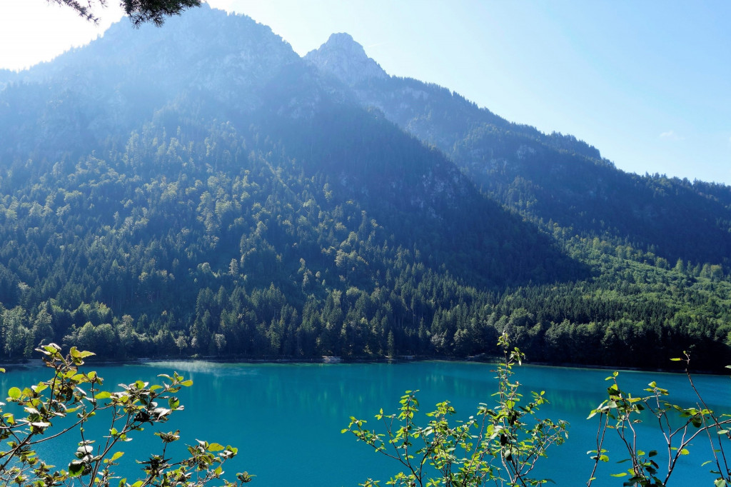 Alpsee