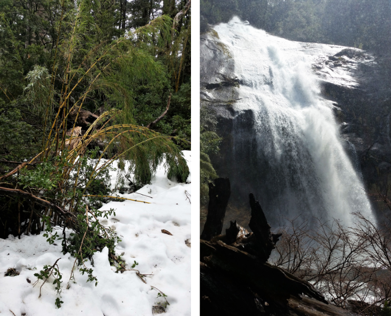 Huerquehue Nationalpark